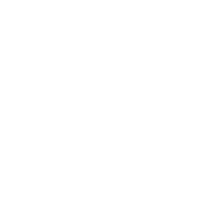 logo copy