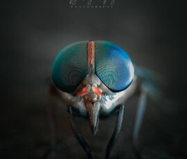 Gallery img 0086